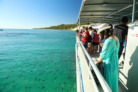 Adventure Moreton Island Wrecks Adventure Package - Accommodation Georgetown 1