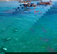 Adventure Moreton Island Scuba Dive Tour - Accommodation Georgetown