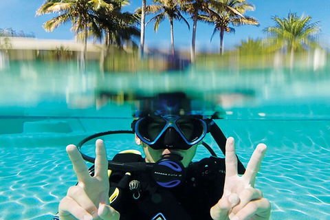 Adventure Moreton Island Scuba Dive Tour - Accommodation Georgetown 2