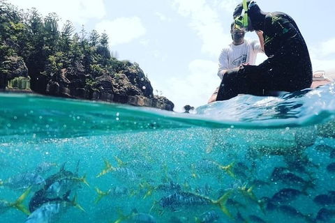 2 Night Small Group Whitsundays Sailing Adventure Aboard Mandrake - Accommodation Georgetown 5