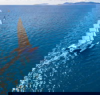 2-Night Whitsunday Islands Sailing Adventure on Trimaran Avatar - Accommodation Georgetown