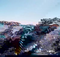 Wave Break Island Scuba Diving on the Gold Coast - Accommodation Georgetown