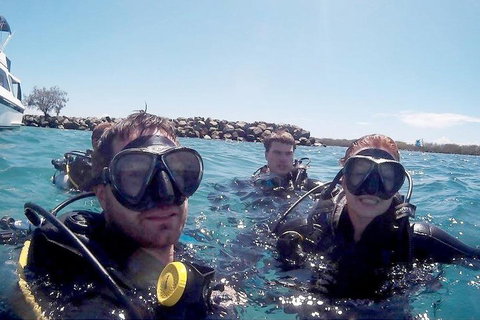 Wave Break Island Scuba Diving On The Gold Coast - Accommodation Georgetown 0