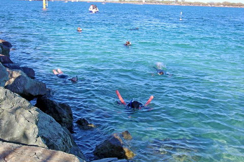 Wave Break Island Scuba Diving On The Gold Coast - Accommodation Georgetown 1