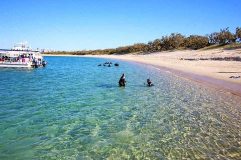 Wave Break Island Scuba Diving On The Gold Coast - Accommodation Georgetown 4