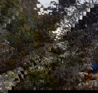 kunanyi / Mt. Wellington Guided Hiking Tour - Accommodation Georgetown