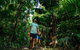 Full Day Daintree Rainforest And Mossman Gorge Tour - thumb 0