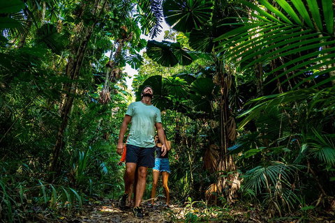Full Day Daintree Rainforest And Mossman Gorge Tour - Accommodation Georgetown 0
