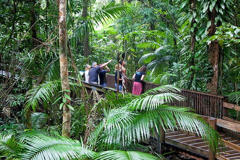 Full Day Daintree Rainforest And Mossman Gorge Tour - Accommodation Georgetown 1
