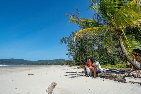 Full Day Daintree Rainforest And Mossman Gorge Tour - Accommodation Georgetown 4