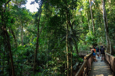 Full Day Daintree Rainforest And Mossman Gorge Tour - Accommodation Georgetown 5
