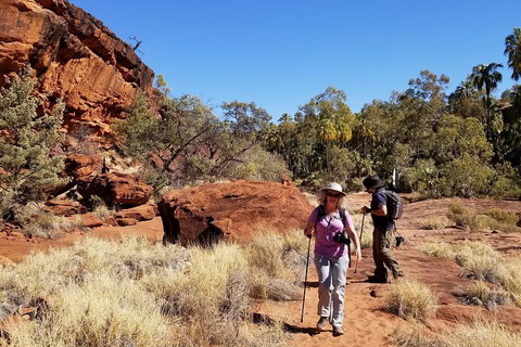 Palm Valley And Hermannsburg 1 Day 4WD Tour - Accommodation Georgetown 1