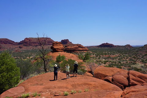 Palm Valley And Hermannsburg 1 Day 4WD Tour - Accommodation Georgetown 2