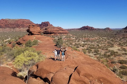 Palm Valley And Hermannsburg 1 Day 4WD Tour - Accommodation Georgetown 3