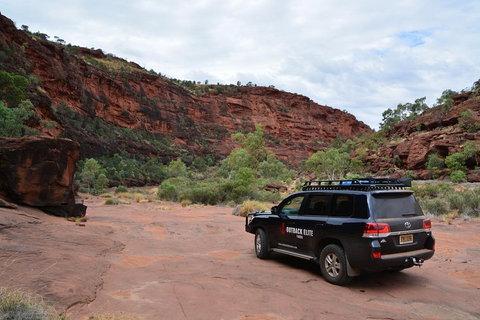 Palm Valley And Hermannsburg 1 Day 4WD Tour - Accommodation Georgetown 5