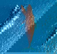 Buccaneer Explorer - Accommodation Georgetown