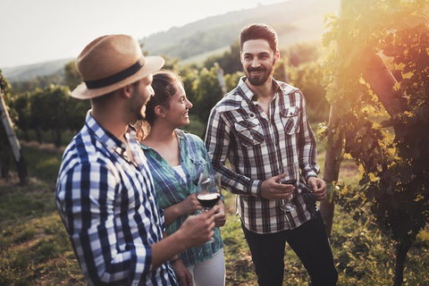 Full Day Mount Tamborine Winery Tour From Gold Coast - Accommodation Georgetown 5