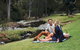 Mt Tamborine - Hinterland Wonders Self Guided - thumb 0