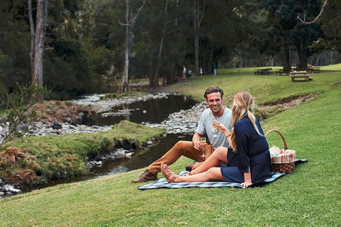 Mt Tamborine - Hinterland Wonders Self Guided - Accommodation Georgetown 0