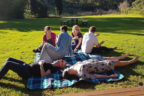 Mt Tamborine - Hinterland Wonders Self Guided - Accommodation Georgetown 2