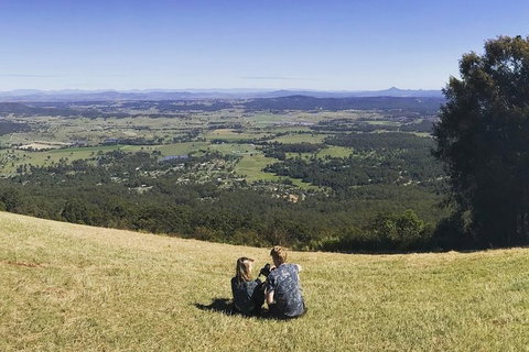 Mt Tamborine - Hinterland Wonders Self Guided - Accommodation Georgetown 4