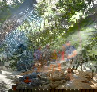 Mossman Gorge Adventure Day - Accommodation Georgetown