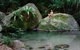 Mossman Gorge Adventure Day - thumb 2