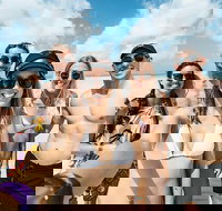 Whitsunday Islands Sailing Adventure - Accommodation Georgetown