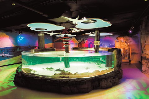 SEA LIFE Melbourne Aquarium Admission Ticket - Accommodation Georgetown 5