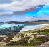 Kangaroo Island Luxury Small Group 'East End Explorer' Full Day Tour - Accommodation Georgetown