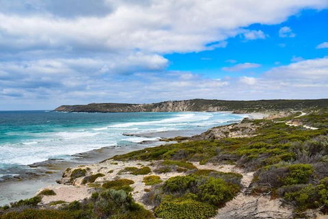 Kangaroo Island Luxury Small Group 'East End Explorer' Full Day Tour - Accommodation Georgetown 0