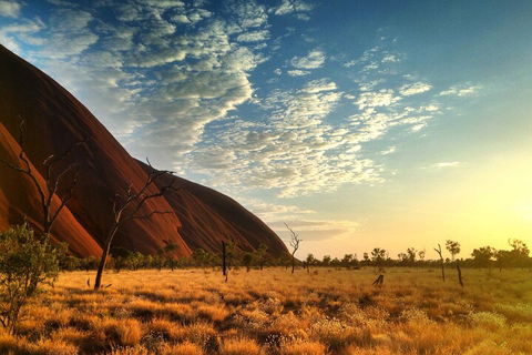 Highlights Of Uluru Including Sunrise And Breakfast - Accommodation Georgetown 0