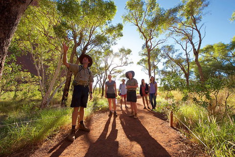 Uluru Small Group Tour Including Sunset - Accommodation Georgetown 0