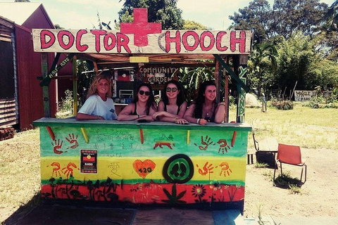 Byron Surrounds: Nimbin Waterfall Adventure - Swimming Tour - Accommodation Georgetown 5
