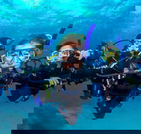 Great Barrier Reef Diving and Snorkeling Cruise from Cairns - Accommodation Georgetown