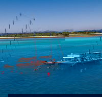 Ocean Free Green Island  Great Barrier Reef Snorkel Cruise Cairns 25 guests - Accommodation Georgetown