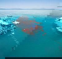Ocean Freedom Great Barrier Reef Personal Luxury Snorkel  Dive Cruise Cairns - Accommodation Georgetown