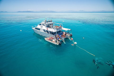 Ocean Freedom Great Barrier Reef Personal Luxury Snorkel & Dive Cruise, Cairns - Accommodation Georgetown 0