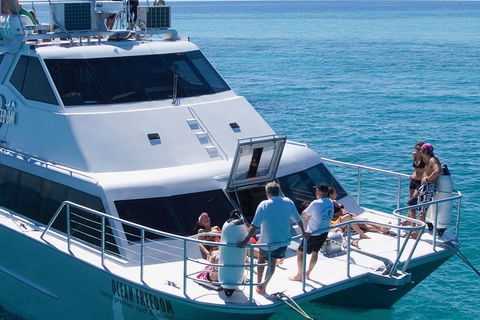 Ocean Freedom Great Barrier Reef Personal Luxury Snorkel & Dive Cruise, Cairns - Accommodation Georgetown 1