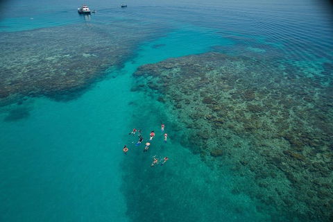 Ocean Freedom Great Barrier Reef Personal Luxury Snorkel & Dive Cruise, Cairns - Accommodation Georgetown 3