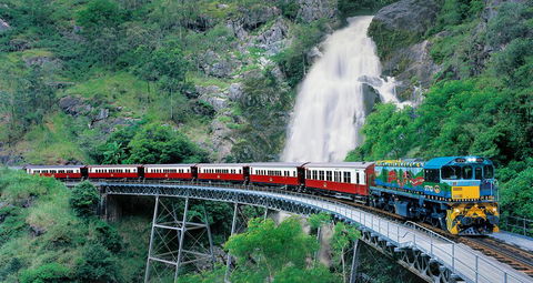 Classic Kuranda By Skyrail And Scenic Railway Including Rainforestation, Koala And Wildlife Park And Pamagirri Aboriginal Experi - Accommodation Georgetown 1