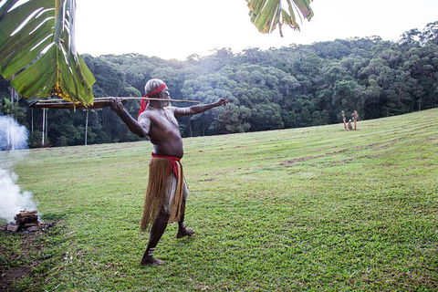 Classic Kuranda By Skyrail And Scenic Railway Including Rainforestation, Koala And Wildlife Park And Pamagirri Aboriginal Experi - Accommodation Georgetown 5