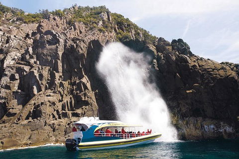 Full-Day Bruny Island Cruises Day Tour From Hobart - Accommodation Georgetown 4