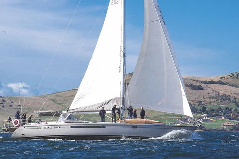 Half-Day Sailing On The Derwent River From Hobart - Accommodation Georgetown 1