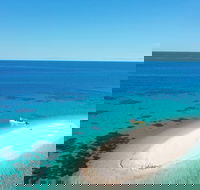 Ocean Safari Great Barrier Reef Experience in Cape Tribulation - Accommodation Georgetown