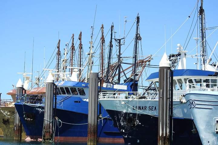  Accommodation Georgetown