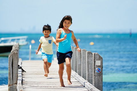 Rottnest Island Roundtrip Fast Ferry From Hillarys Boat Harbour - Accommodation Georgetown 0