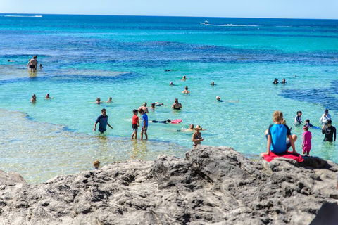 Rottnest Island Roundtrip Fast Ferry From Hillarys Boat Harbour - Accommodation Georgetown 1