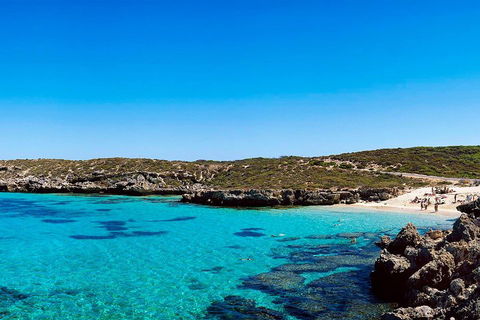 Rottnest Island Roundtrip Fast Ferry From Hillarys Boat Harbour - Accommodation Georgetown 4