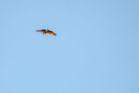 North Stradbroke Island Day Trip From Brisbane - Accommodation Georgetown 4